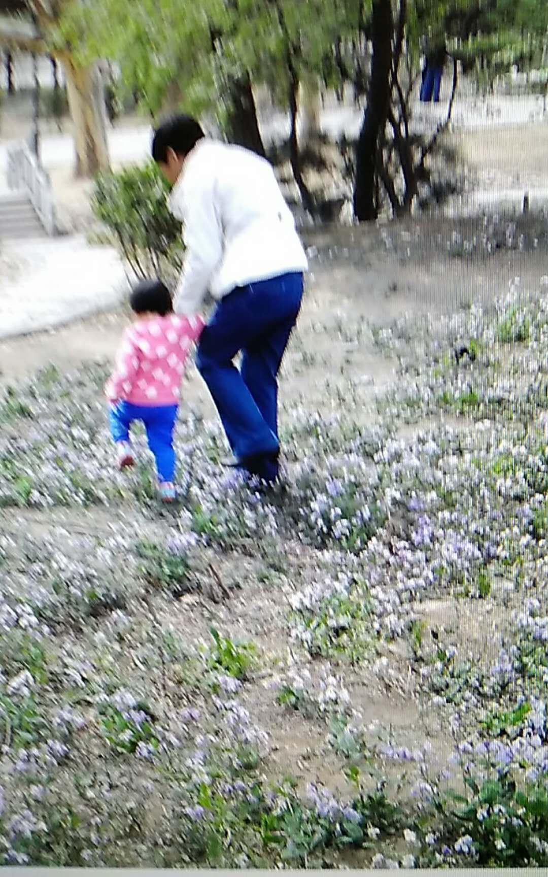 ΢��ͼƬ_20180630171634.jpg