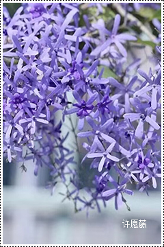 18e55531bc06010827faeb8374b354e0fd344a4a9fd00dc13a2c2610fd6014d2.0.JPEG