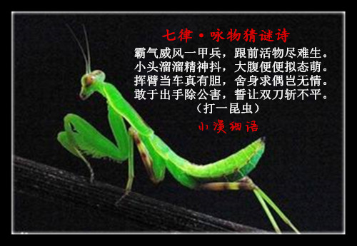 bed819a4d14e448b86ce9364a2afa06f_����.jpg