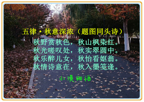 22465979fd2b70a9a9dfae0588fc0c36_����.jpg