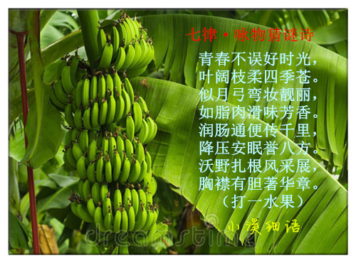 d4183deb2e9f1eb0257d851e8b11bd44_����.jpg