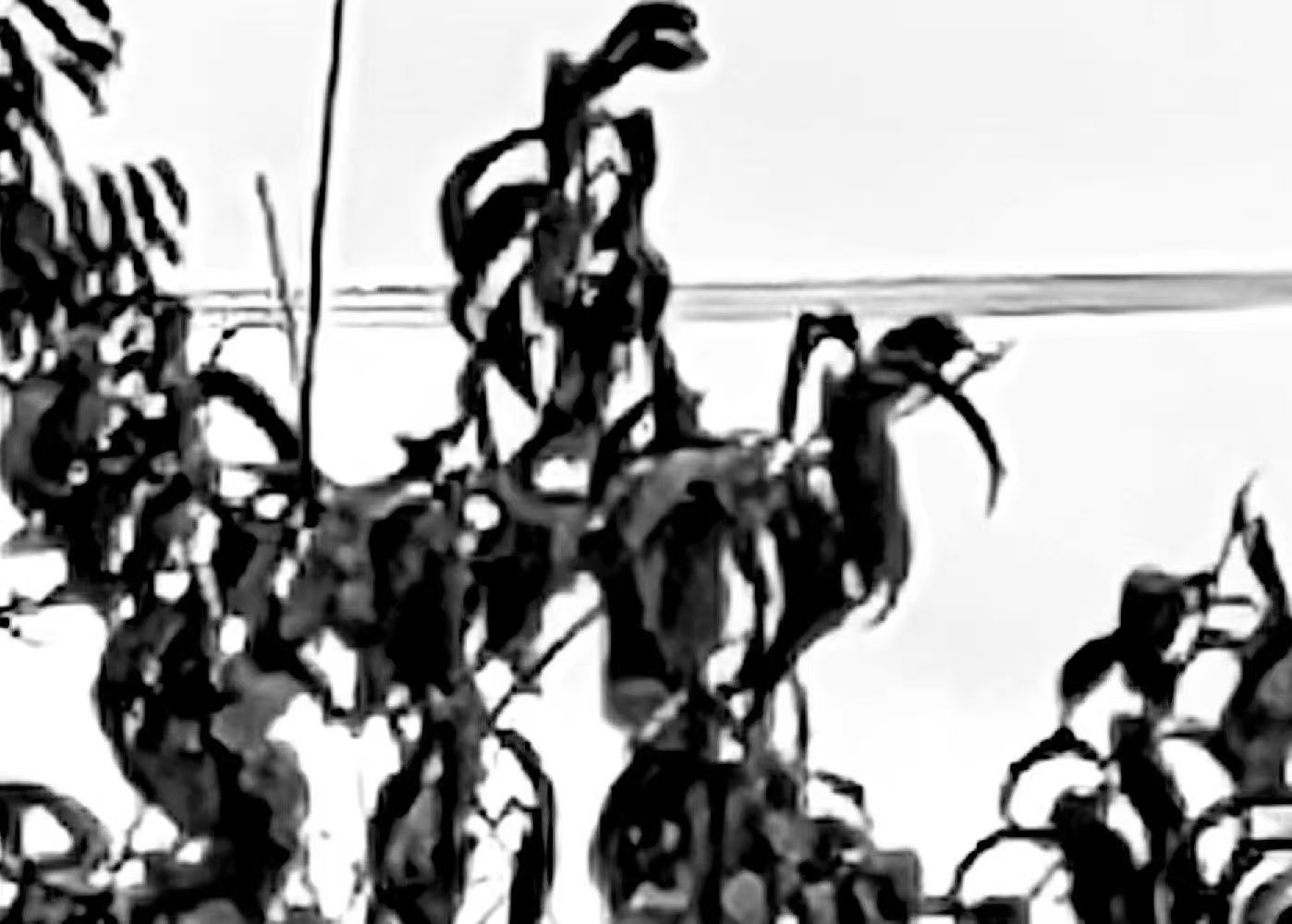 16a989737551baaaf59295c516c801c.jpg