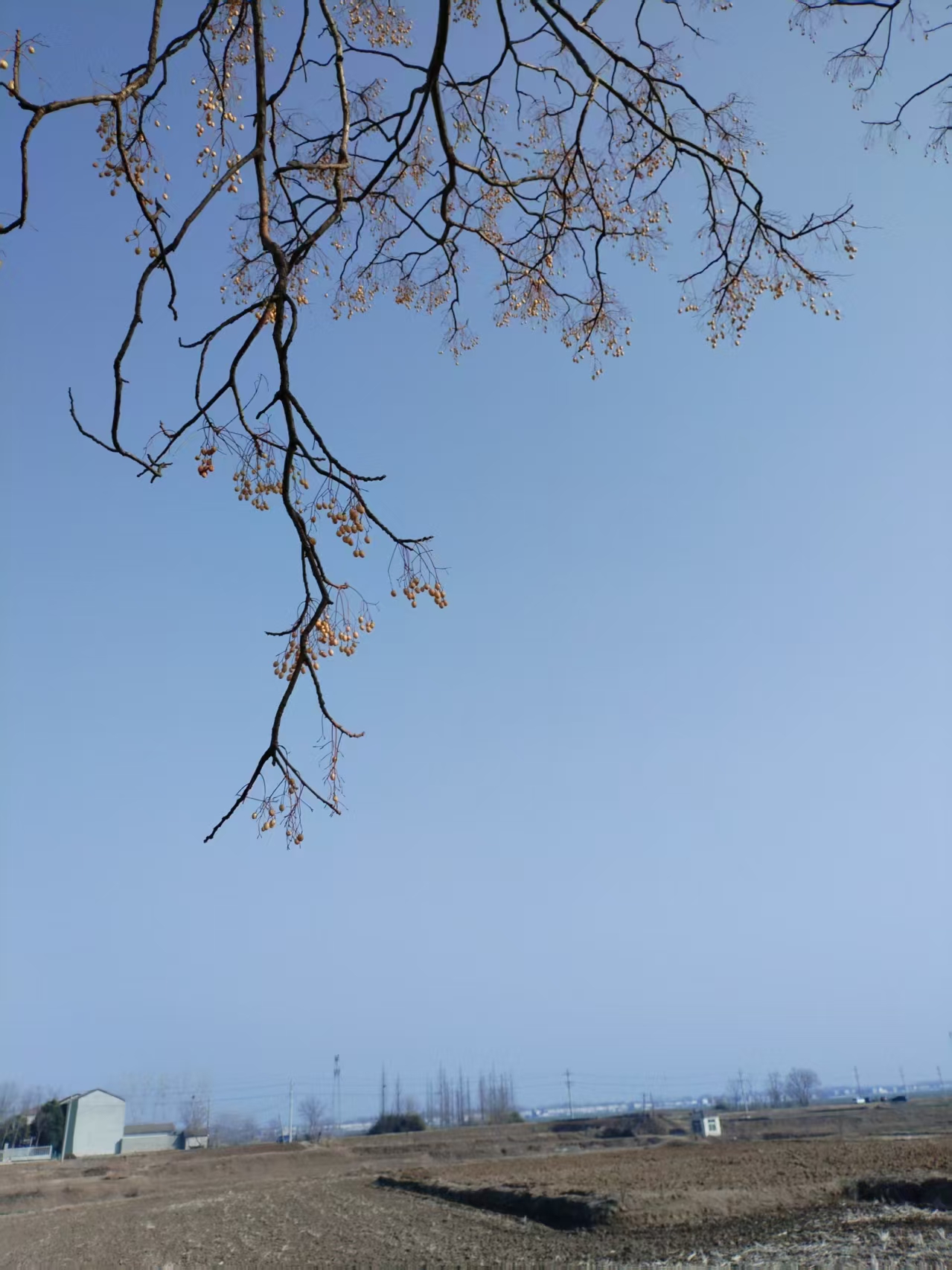 ΢��ͼƬ_20250910094956_6037_8.jpg