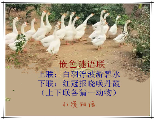 e4e9c9ac5e3f4c7cb75ecef1c8ab8a74_����.jpg