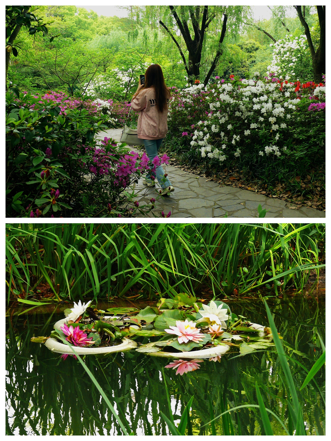 NeoImage_����-5.jpg